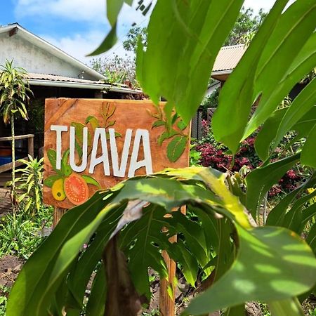 Tuava Lodge อังกาโรอา ภายนอก รูปภาพ