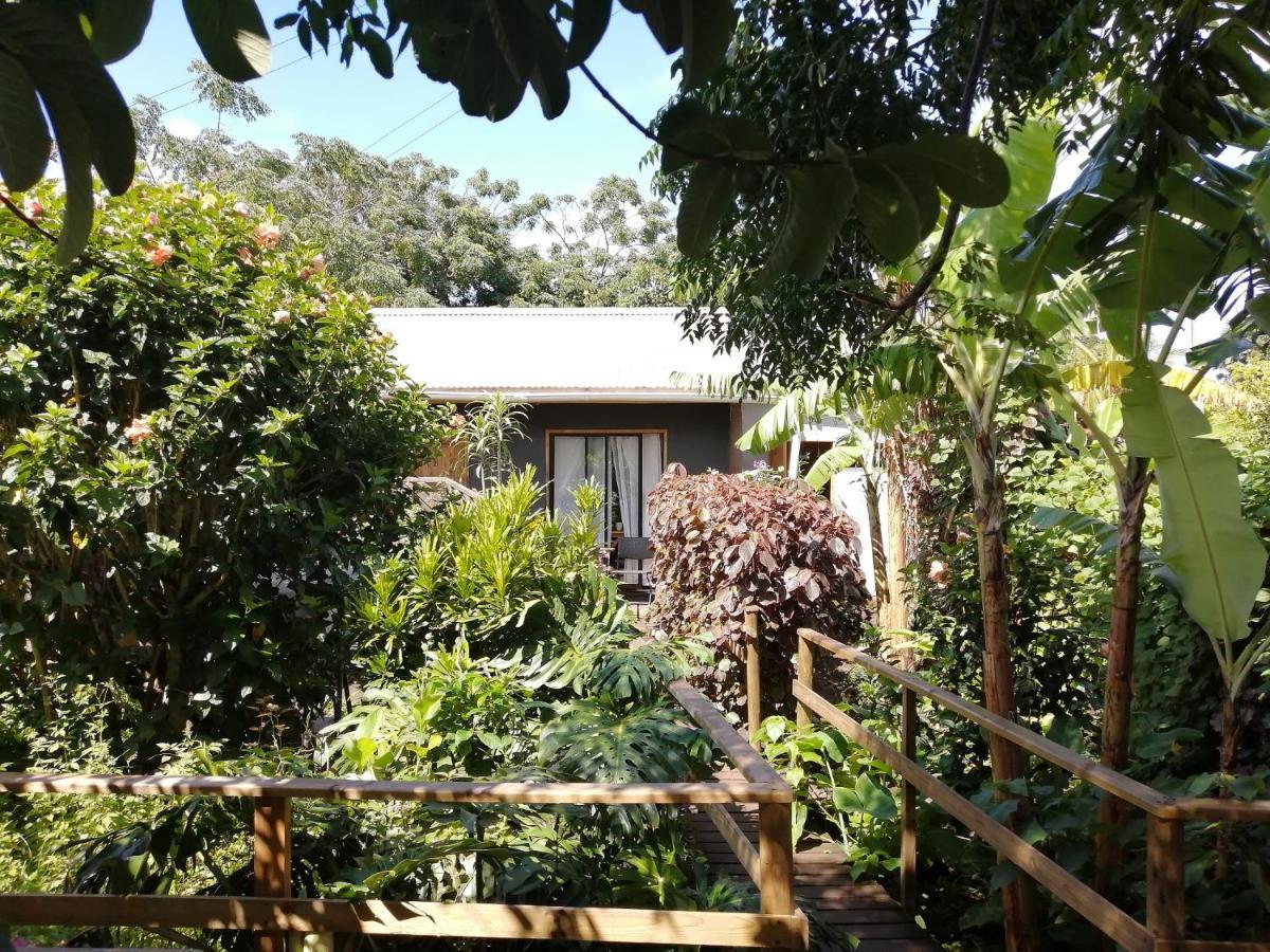 Tuava Lodge อังกาโรอา ภายนอก รูปภาพ