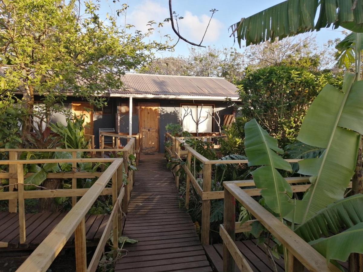 Tuava Lodge อังกาโรอา ภายนอก รูปภาพ