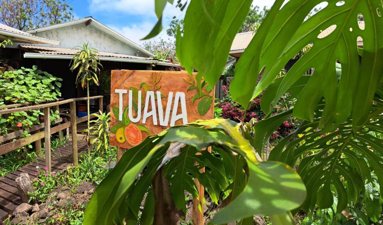 Tuava Lodge อังกาโรอา ภายนอก รูปภาพ