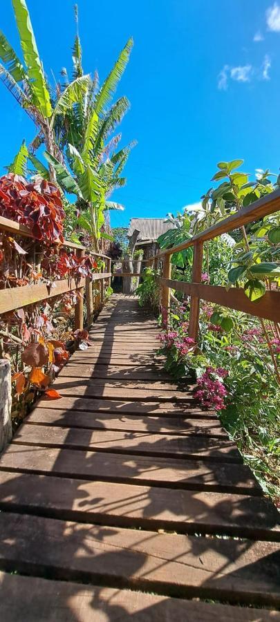 Tuava Lodge อังกาโรอา ภายนอก รูปภาพ